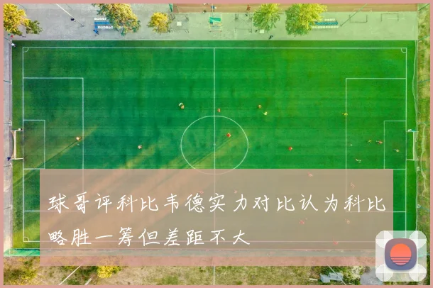 球哥评科比韦德实力对比认为科比略胜一筹但差距不大